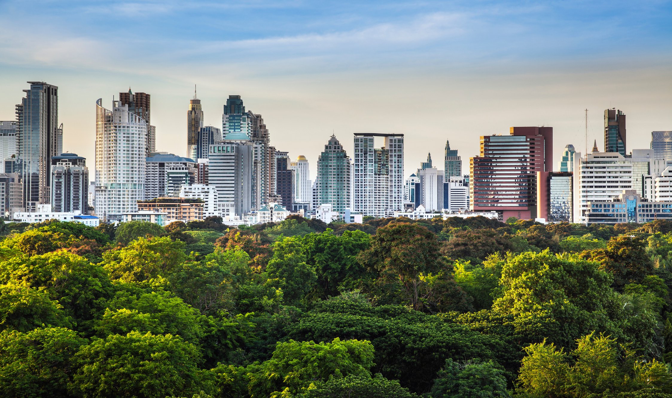 Modern city in a green environment,Suan Lum,Bangkok,Thailand